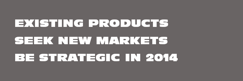 Seek New Markets with Existing Products